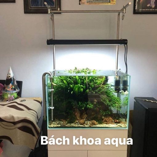 GIÁ TREO ĐÈN INOX DALAB